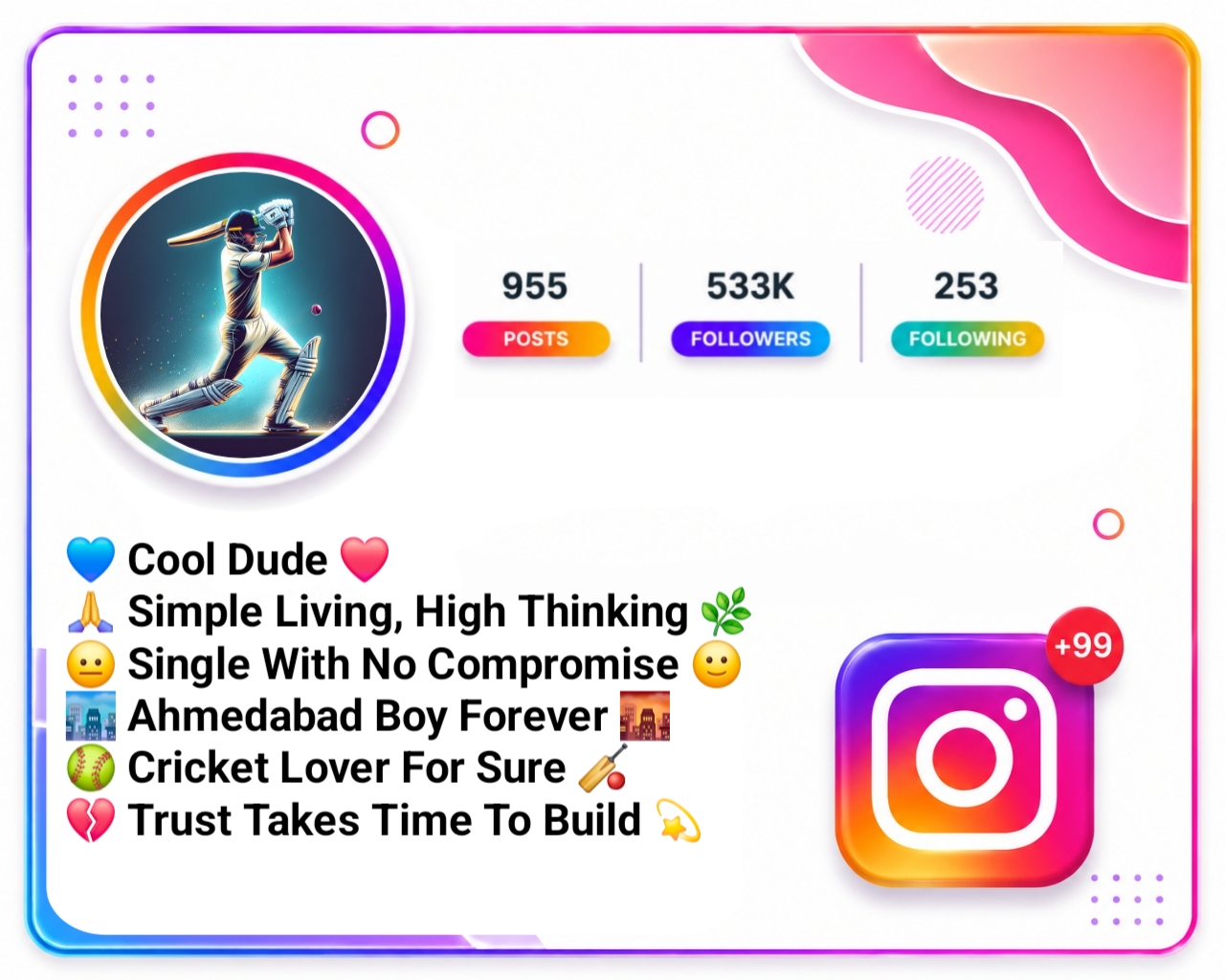 Cricket Lover Bio For Instagram